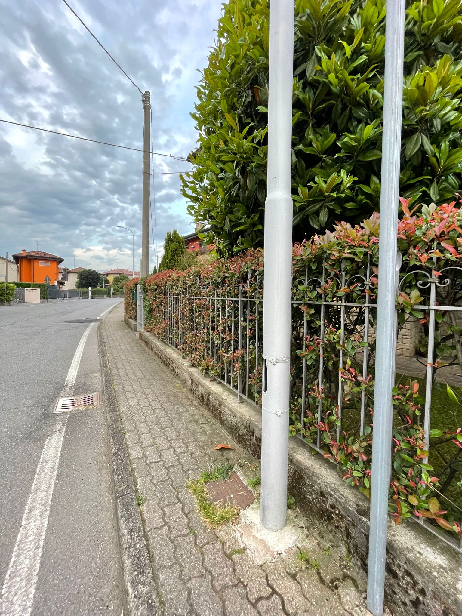 Immagine della segnalazione